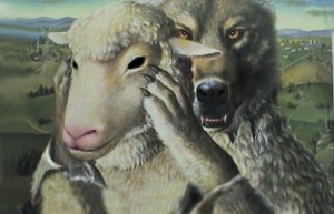 wolf-in-sheep-image